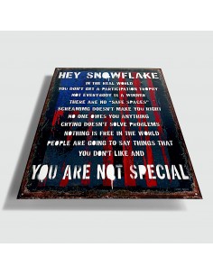 16" Hey Snowflake In The... 2