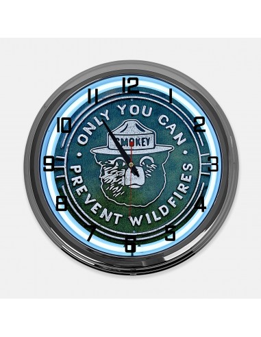 18" Smokey The Bear Only You Can...