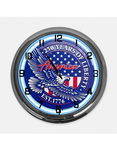 18" America 250 Years Of Liberty EST....